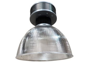Paloma-Image-SQ-600