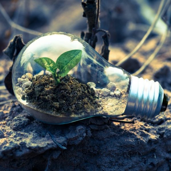 earth day blog FI2