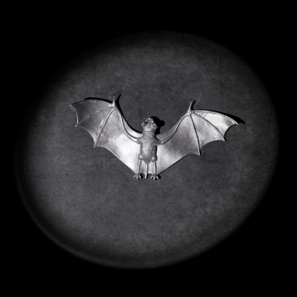 Bat friendly lighting
